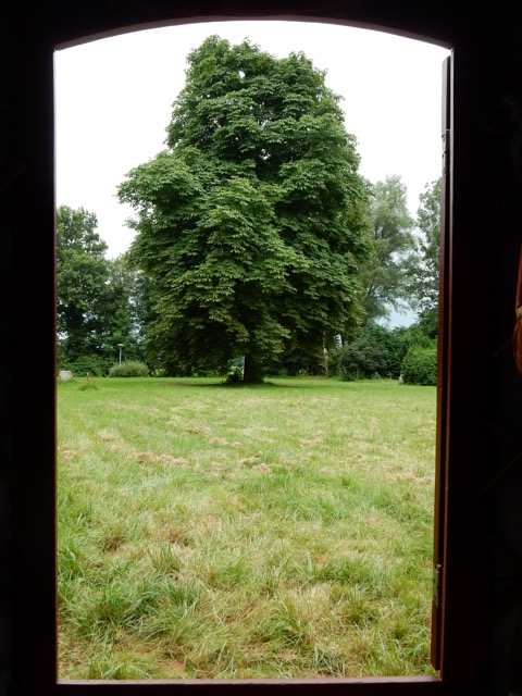 kastanje vanuit de yurt.JPG